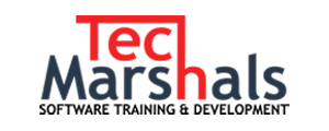 tech-marshals-logo-2